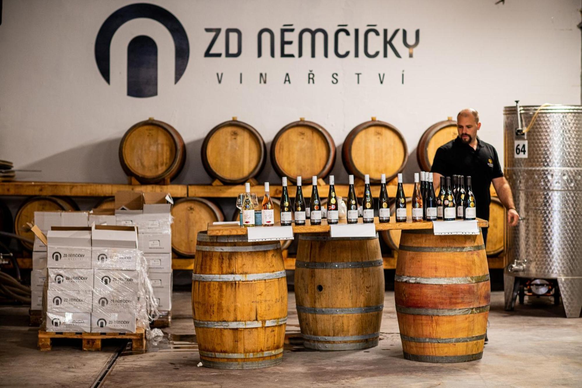 Ubytovani Ve Vinarstvi Zd Nemcicky 외부 사진